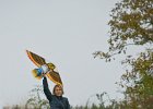 Michal Sláma : Drakiáda - 25.10.2015